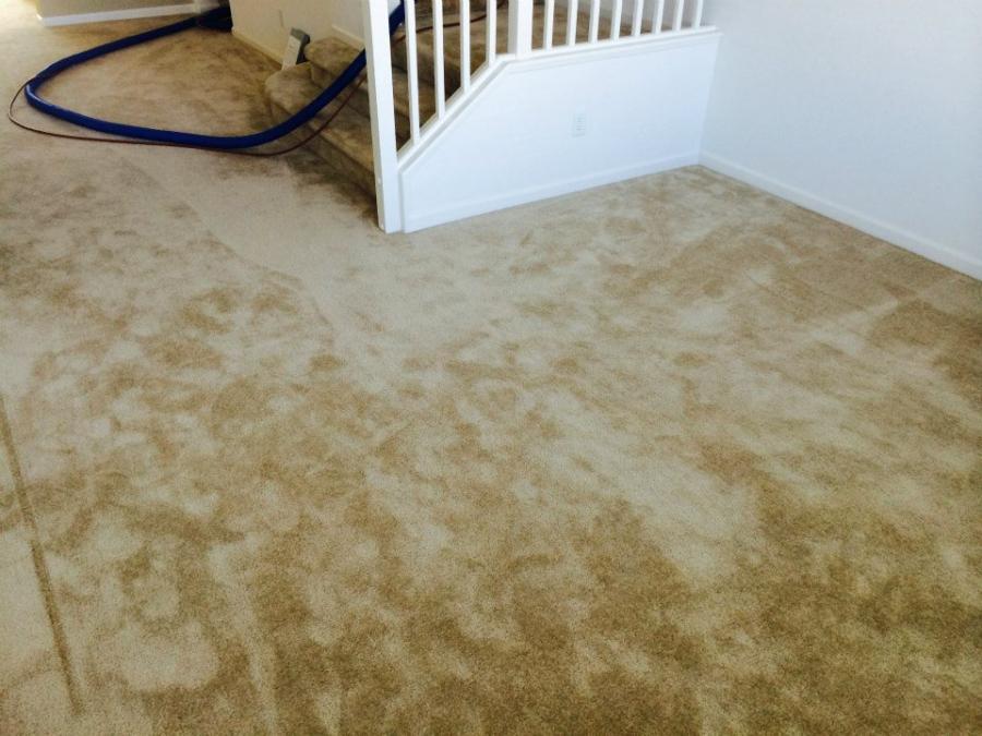 Picture of JC Carpet & Upholstery Cleaning - JC Carpet & Upholstery Cleaning, Inc.