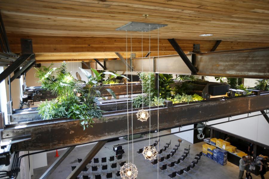 Picture of RECO's work on The Pearl in San Francisco included showcasing the hanging living garden with unique fixtures and LED lighting. - Roberts Electric Company, Inc.