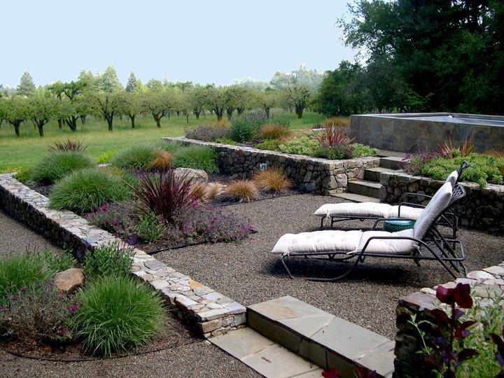 Picture of A water-conserving plant design by Gardens of the Wine Country - Gardens of the Wine Country Inc.
