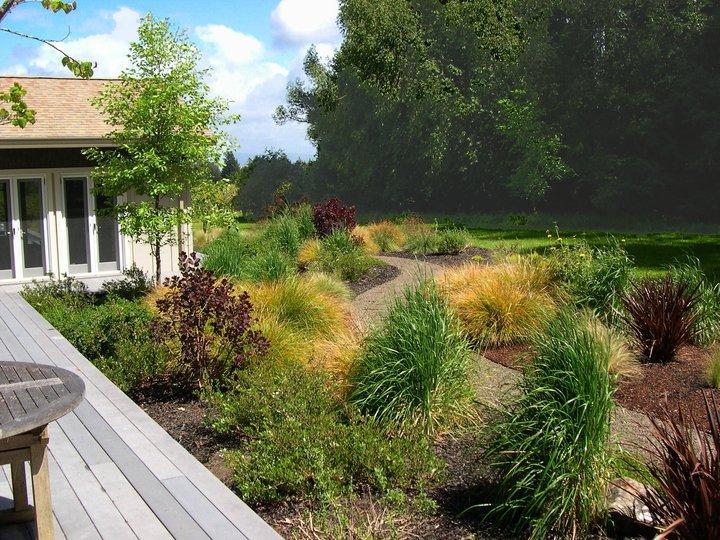 Picture of A recent garden project by Gardens of the Wine Country - Gardens of the Wine Country Inc.