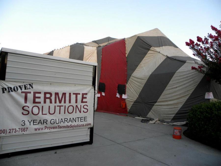 Picture of Proven Termite Solutions - Proven Termite Solutions