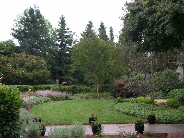 Picture of Gardens of the Wine Country uses multiple plant varieties in its garden projects. - Gardens of the Wine Country Inc.
