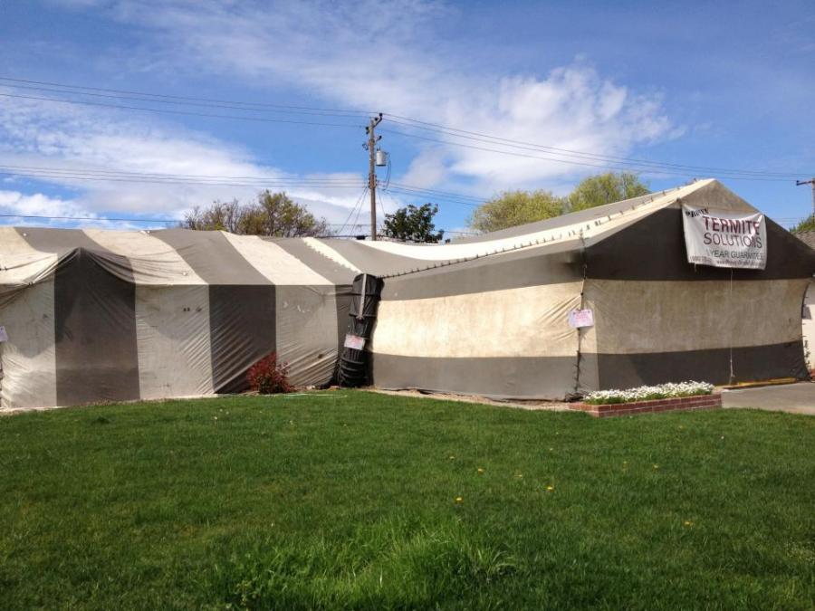 Picture of A residential tent fumigation project - Proven Termite Solutions