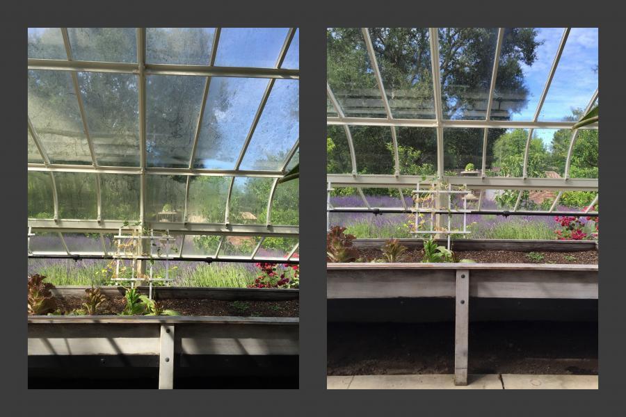 Picture of A "before and after" shot of a greenhouse glass cleaning project - AWC