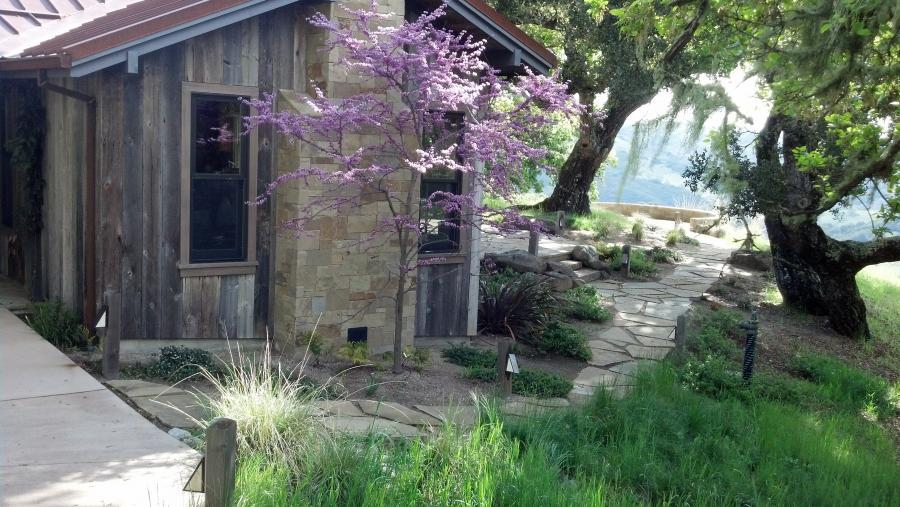 Picture of Jerry Allison Landscaping installed native plants and used natural building materials to help this home blend into an oak woodla - Jerry Allison Landscaping, Inc.