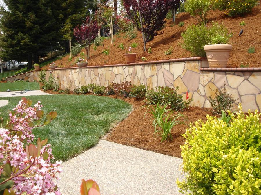 Picture of Pacific Landscaping built this concrete retaining wall and covered it with natural flagstone and bullnose brick on the top. - Pacific Landscaping