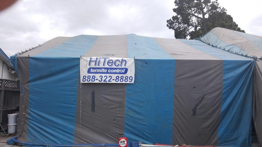 Picture of Hi Tech Termite Control of the Bay Area Inc. - Hi Tech Termite Control Of The Bay Area