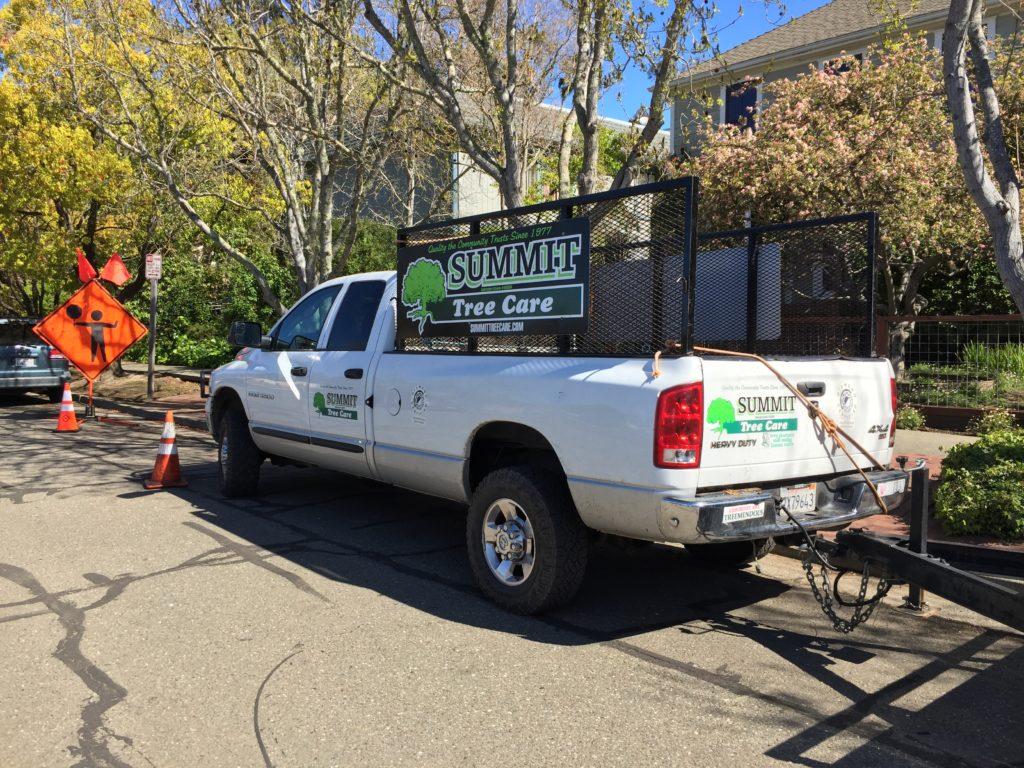 Picture of Summit Tree Care - Summit Tree Care