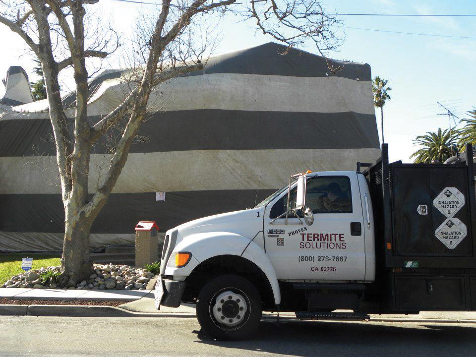 Picture of Proven Termite Solutions performed a tent fumigation on this house. - Proven Termite Solutions