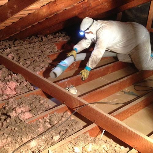 Picture of An Alcal Specialty Contracting employee installs unfaced batt insulation in a new home. - Alcal Specialty Contracting, Inc.
