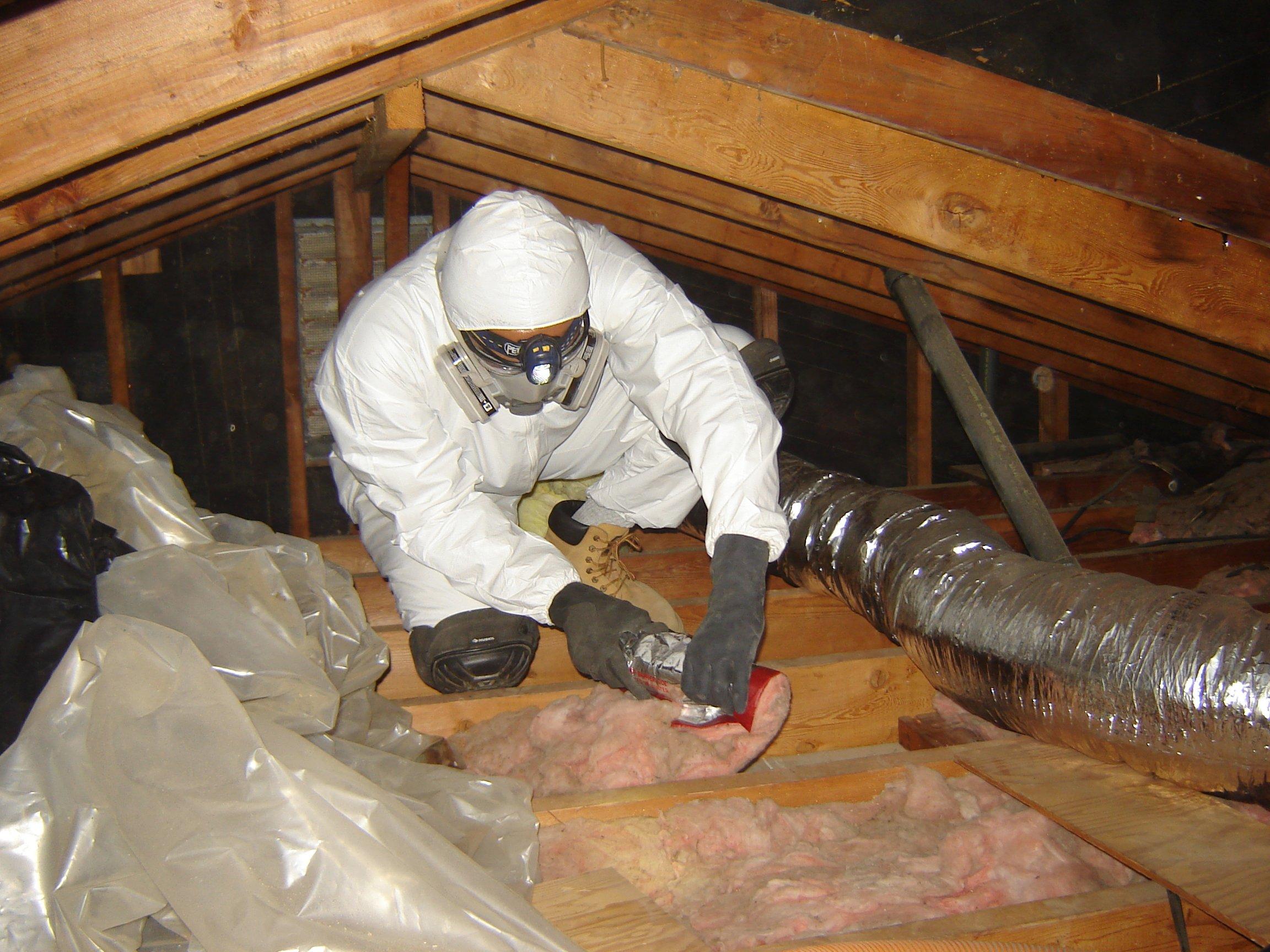Picture of An Atticare technician removes insulation from a customer's attic. - Atticare Construction