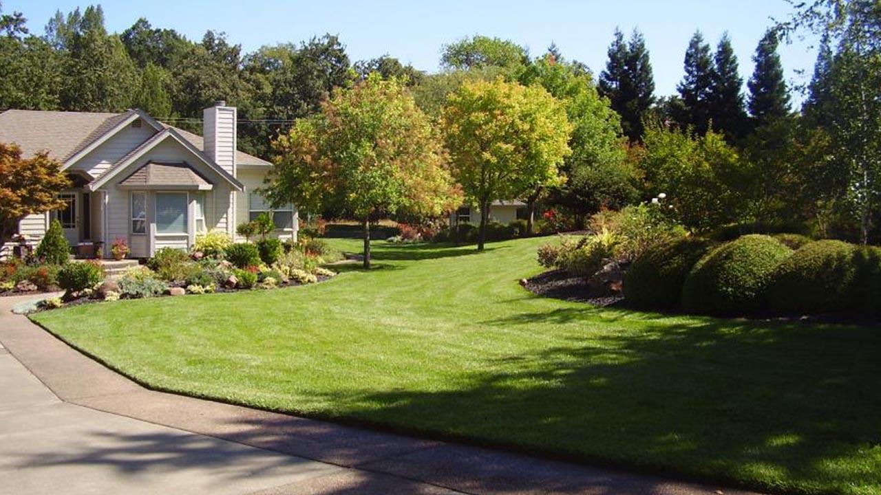 MANZANITA LANDSCAPE CONSTRUCTION, INC. 241 Surveys, Videos, Articles