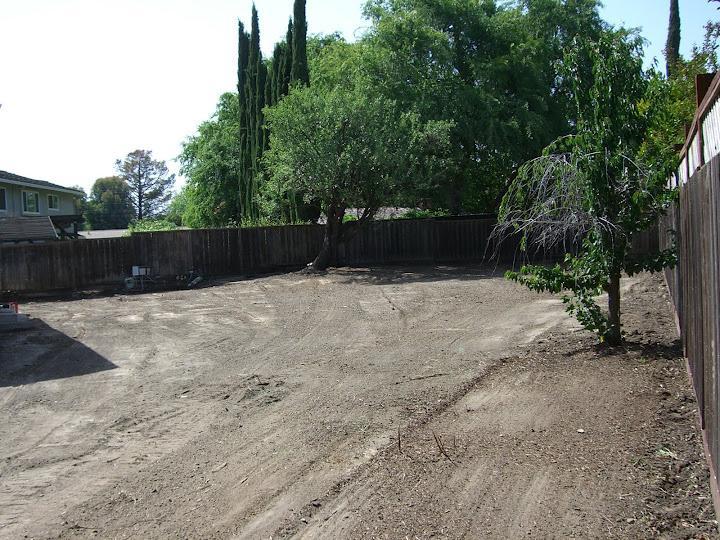 Picture of The customer's yard after Dig & Demo cleared out the vegetation. - Dig & Demo