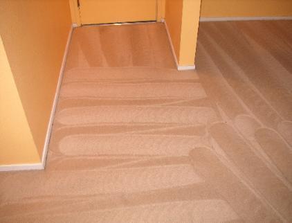 Picture of Maximum Carpet Cleaning - Maximum Carpet Cleaning