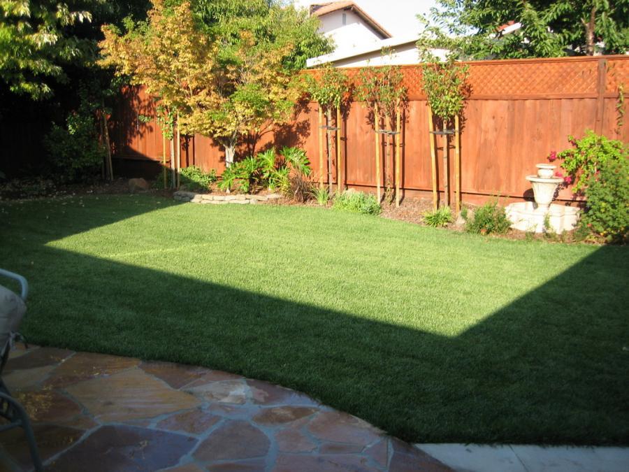 Picture of Natural Landscaping Contractors installed this kid-friendly yard for a family in Walnut Creek. - Natural Landscaping Contractors