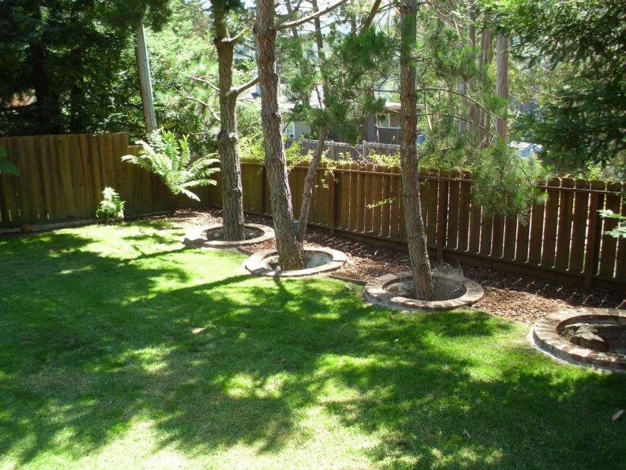 Picture of This redwood fence is part of a recent remodeling project by Thomas A Daly Construction. - Thomas A Daly Construction