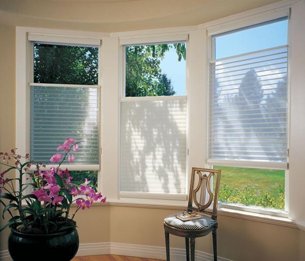 Picture of Maintain both privacy and view with top-down/bottom-up shades. - Creative Window Fashions, Inc.