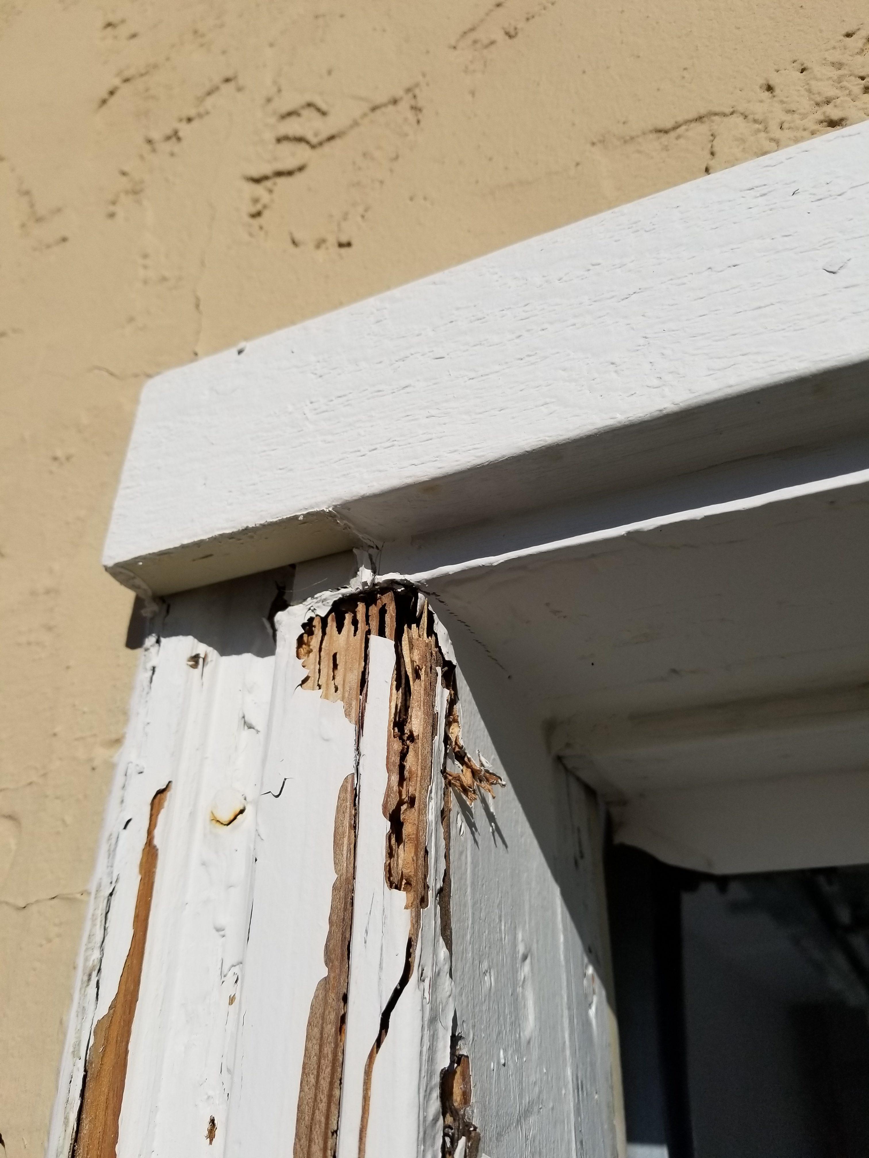 Picture of Hi Tech Termite Control of the Bay Area Inc. - Hi Tech Termite Control Of The Bay Area