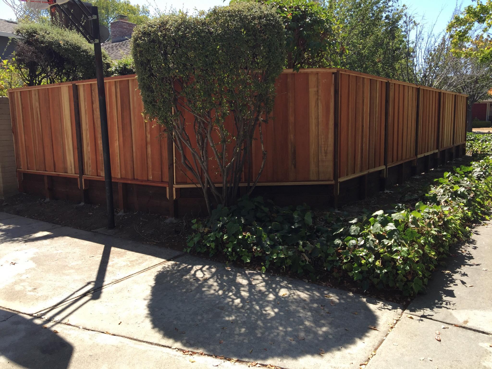 Picture of Meza's Fence - Meza's Fence