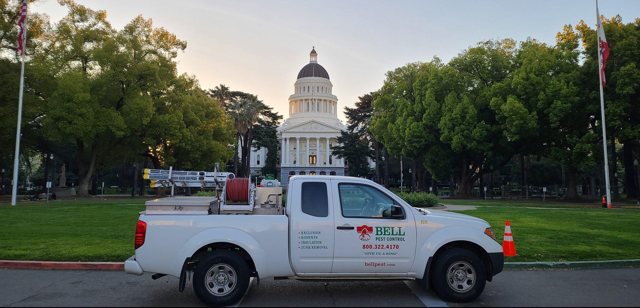 Picture of Bell Pest Control - Bell Pest Control