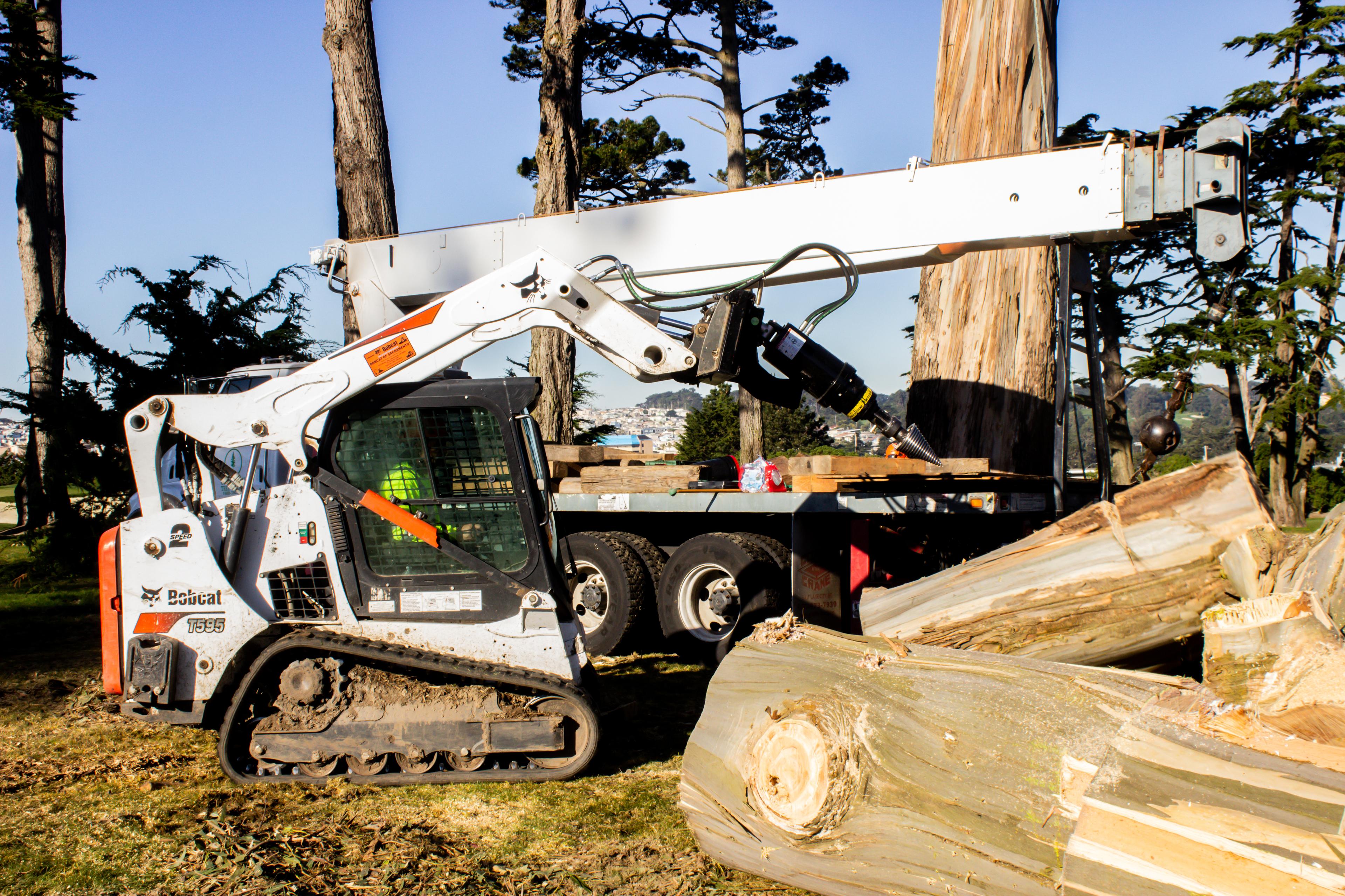Picture of OneSource Tree Service Inc. - OneSource Tree Service Inc.