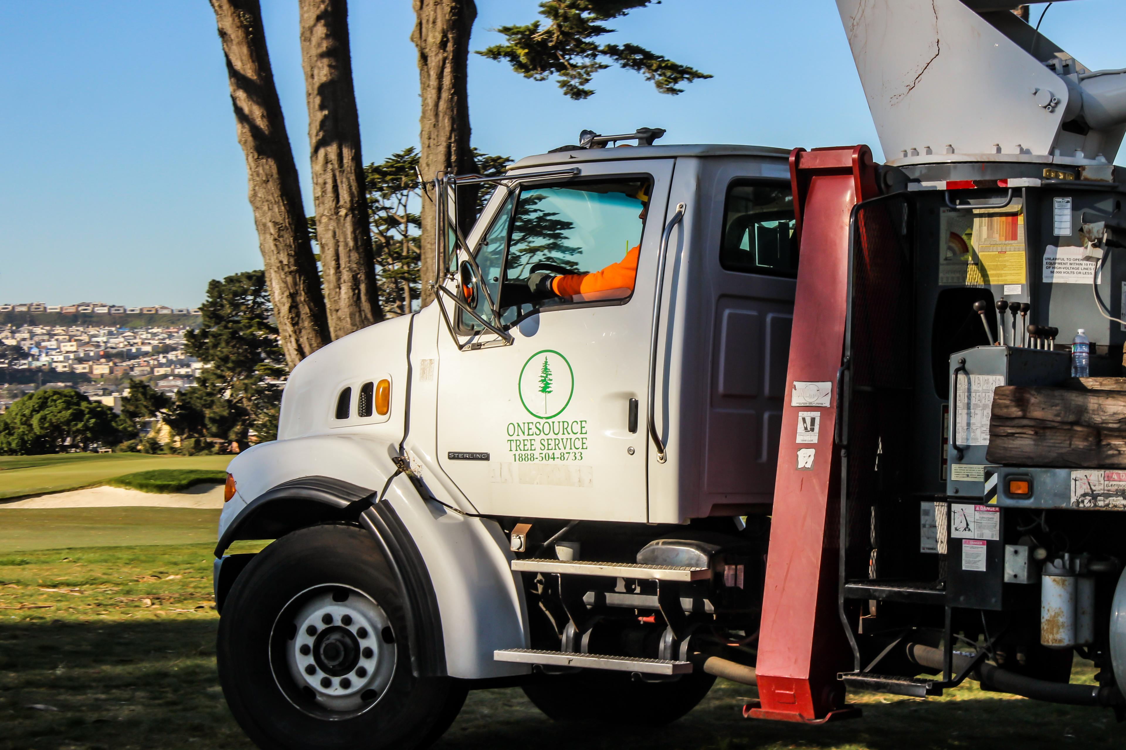 Picture of OneSource Tree Service Inc. - OneSource Tree Service Inc.