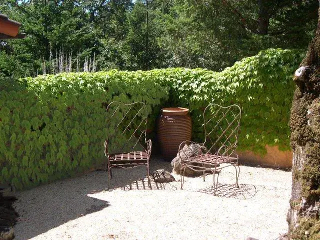 Picture of A simple quiet seating area - Gardens of the Wine Country Inc.