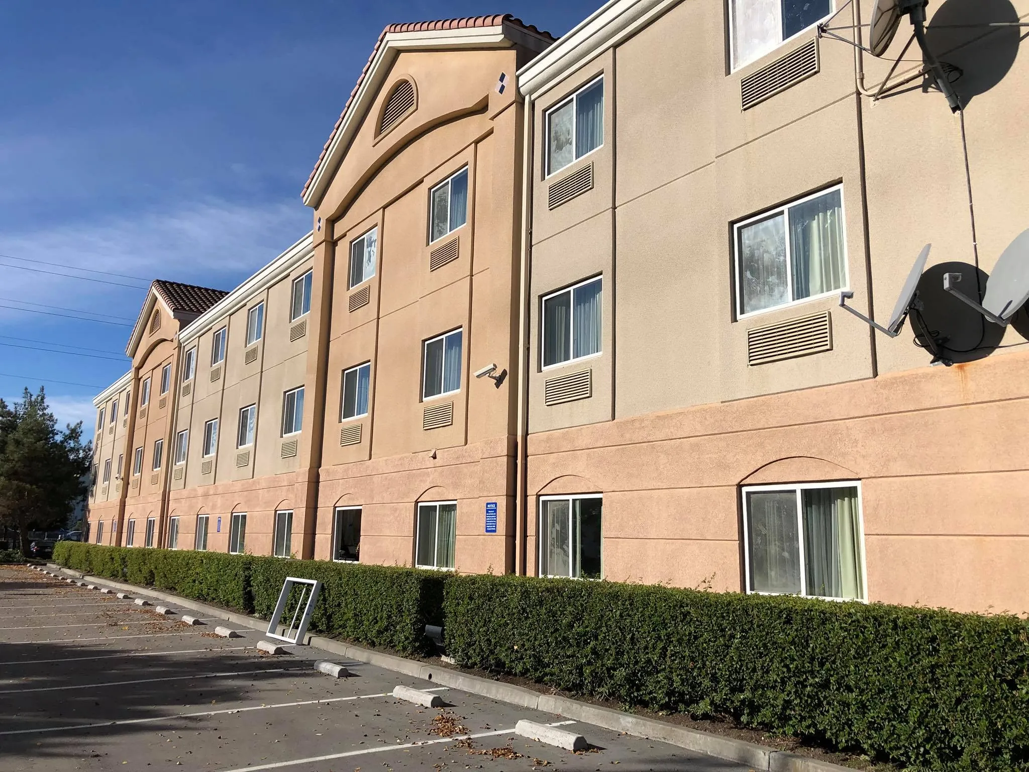 Picture of A missing window frame leans against a manicured hedge under a clear sky, highlighting Abstract Windows' commitment to precision and quality outcomes. Consistently achieving a Highest in Quality rating, the company ensures every detail meets exacting standards. Copyright ©2025 Diamond Certified Resource - Abstract Windows