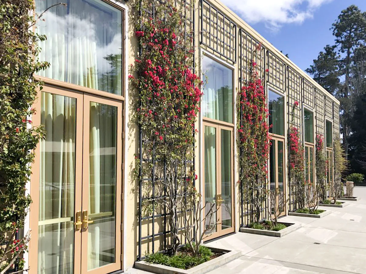 Picture of Sunlight filters through elegant floor-to-ceiling windows framed by vibrant climbing plants, showcasing Abstract Windows' dedication to quality outcomes. The seamless blend of nature and architecture reflects the company's focus on quality outcomes. Copyright ©2025 Diamond Certified Resource

 - Abstract Windows