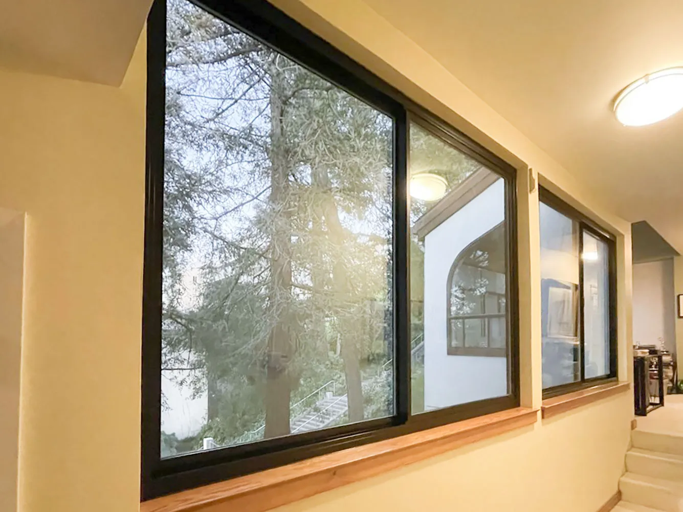 Picture of Sunlight filters through high-quality windows from Abstract Windows, highlighting the serene view beyond. Known for consistently achieving a Highest in Quality rating, Abstract Windows transforms spaces with precision and expertise. Copyright ©2025 Diamond Certified Resource

 - Abstract Windows