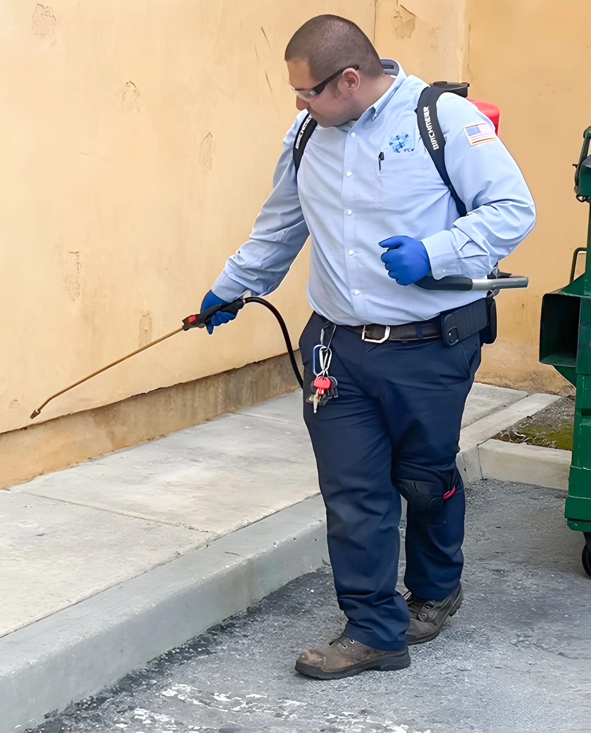 INTERGRATED PEST CONTROL MANAGEMENT INC. - 13 Surveys, Videos, Articles, &  More | Diamond Certified