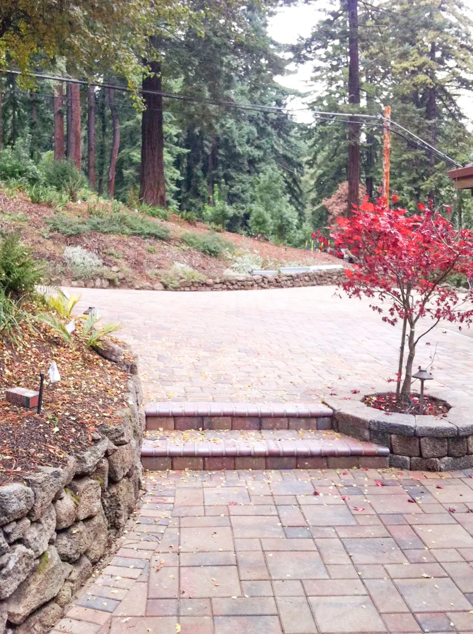 Picture of A serene walkway leads through artfully laid stone pavers, blending seamlessly with natureâ€”a testament to Mr. Pavers Contractor Services, Inc.'s focus on quality outcomes. Copyright ©2025 Diamond Certified Resource

 - Mr. Pavers Contractor Services, Inc.