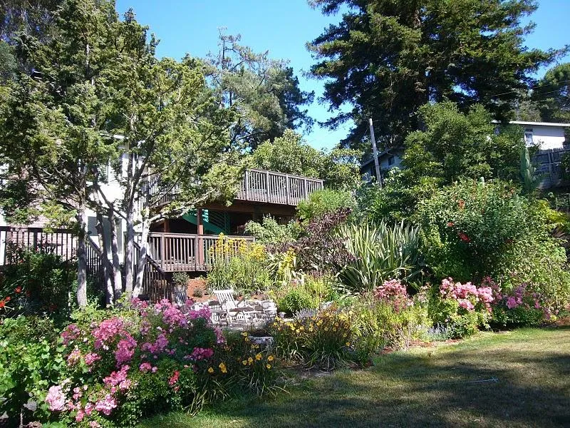 Landscape Contractor - Artisans Landscape - The Bay Area