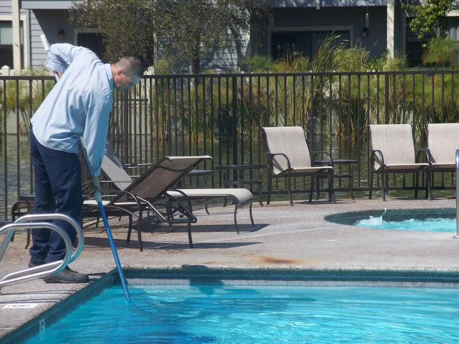  A person in a light blue shirt cleans a pool with a skimming net. Several lounge chairs are around the poolside, with greenery in the background.