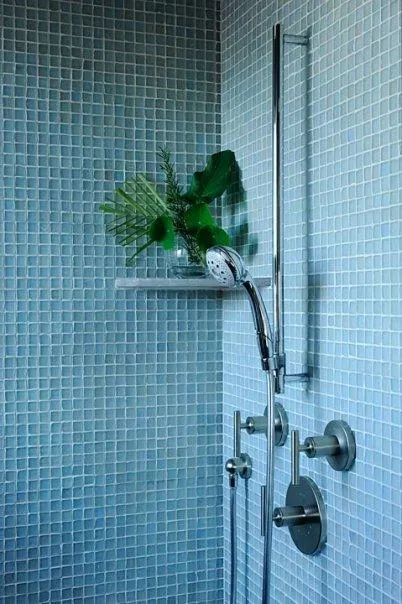 Picture of  Bell Products, Inc. enhances bathroom elegance with a sleek shower design featuring modern fixtures and a touch of green. Recognized for expertise and quality, Bell Products, Inc. transforms spaces with attention to detail. Copyright ©2025 Diamond Certified Resource.

 - Bell Products, Inc.