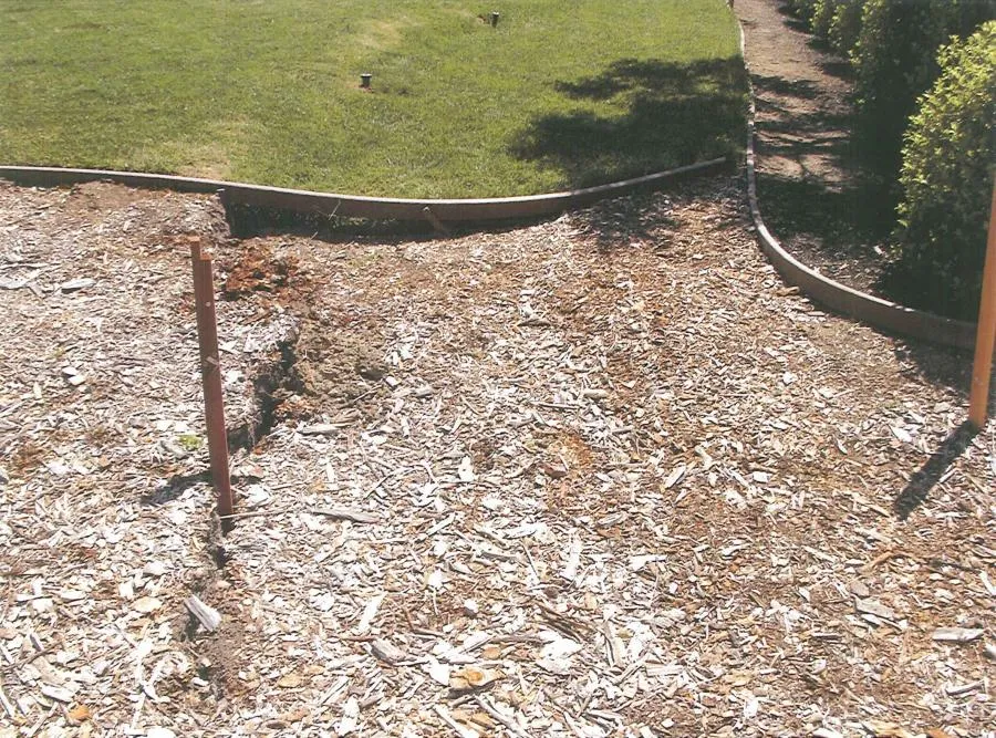 Picture of  At the boundary between mulch and lawn, Engineered Soil Repairs, Inc. demonstrates its commitment to quality outcomes, expertly addressing soil stabilization. Copyright ©2025 Diamond Certified Resource.

 - Engineered Soil Repairs, Inc.