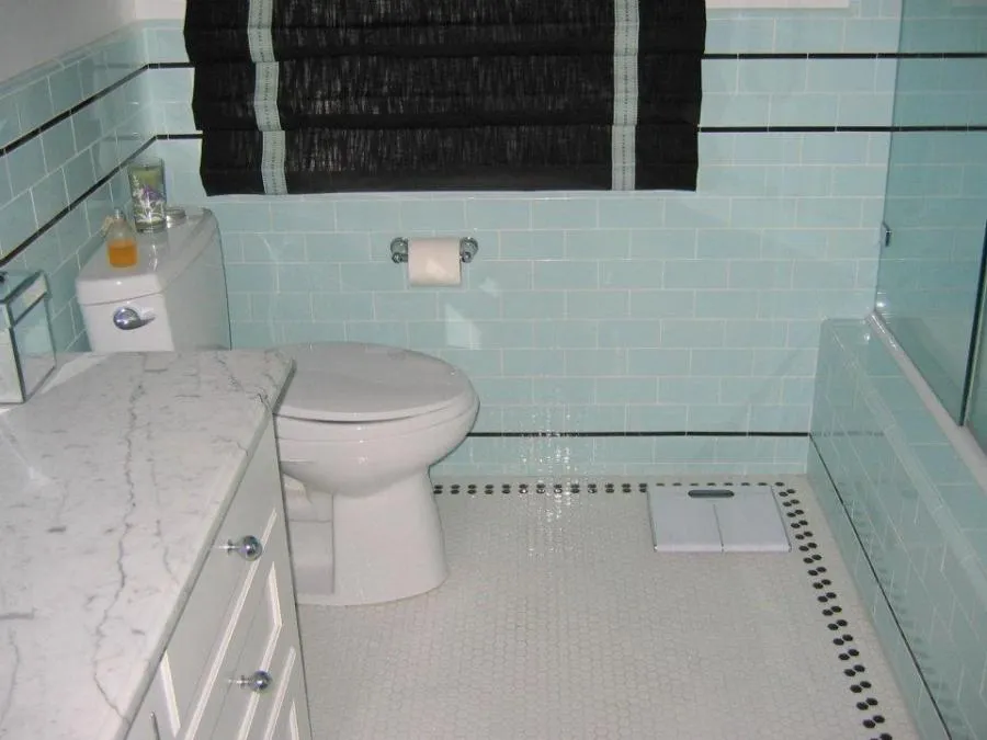 Picture of  In this serene bathroom, the subtle elegance of pastel blue tiles meets the sleek finish of marble countertops, a testament to Gold Hammer Construction, Inc.'s focus on quality outcomes. Copyright ©2025 Diamond Certified Resource.

 - Gold Hammer Construction, Inc.