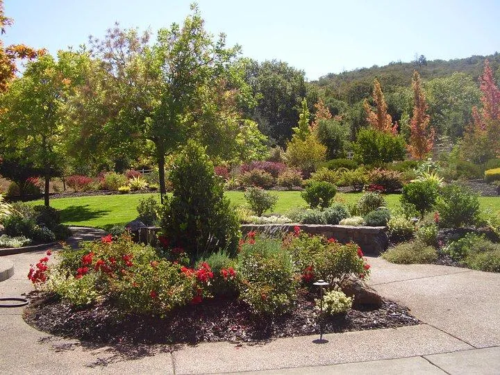 A landscaped garden with lush greenery, colorful flowers, and a small tree. A stone-bordered lawn with various plants and trees in the background.