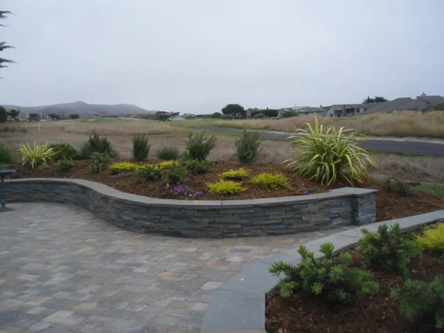  Curved stone retaining wall with a landscaped garden featuring various plants in a paved outdoor area.