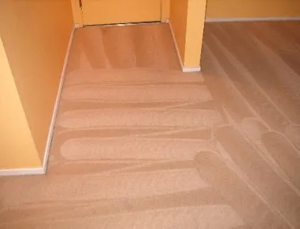 Picture of Swirling patterns on a freshly cleaned carpet narrate a story of meticulous attention by Maximum Carpet Cleaning. Recognized for expertise and quality, they transform spaces with precision. Copyright ©2025 Diamond Certified Resource

 - Maximum Carpet Cleaning