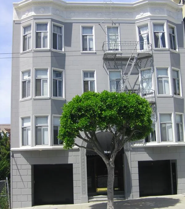 Picture of A freshly painted facade shines in the afternoon sun, highlighting Tara Pro Painting, Inc.'s attention to detail and commitment to excellence. The building's crisp lines and vibrant finish exemplify why the company consistently achieved a Highest in Quality rating. Copyright ©2025 Diamond Certified Resource. - Tara Pro Painting, Inc.