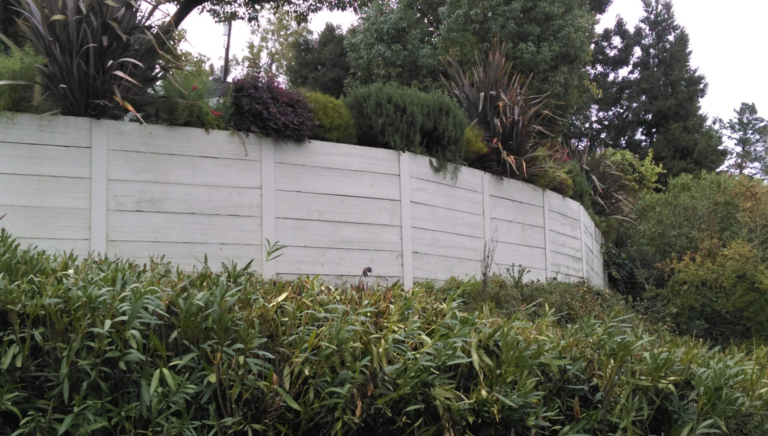 Picture of Amidst a lush garden landscape, a sturdy retaining wall stands testament to AcuStructâ€™s dedication to quality outcomes, seamlessly blending functionality with natural beauty. The company is known for its high customer satisfaction ratings. Copyright ©2025 Diamond Certified Resource - AcuStruct