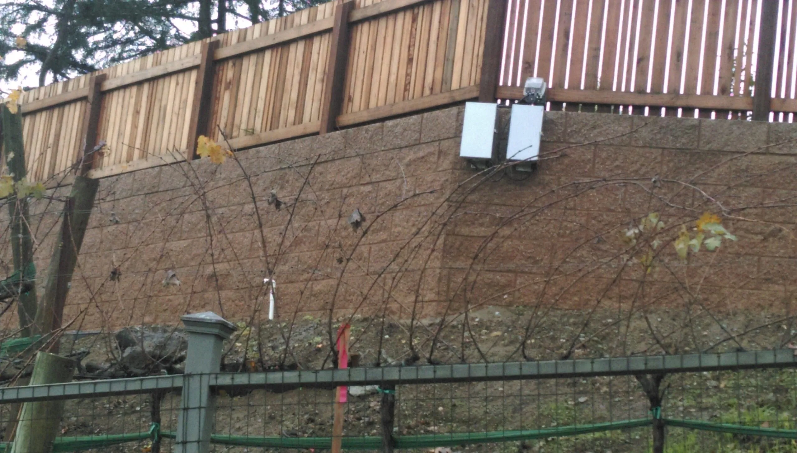 Picture of Amidst the intricate layers of protective wiring and sturdy fencing, a solid retaining wall reflects AcuStructâ€™s commitment to quality outcomes in landscape design. The precise alignment showcases the company's high customer satisfaction ratings. Copyright ©2025 Diamond Certified Resource

 - AcuStruct