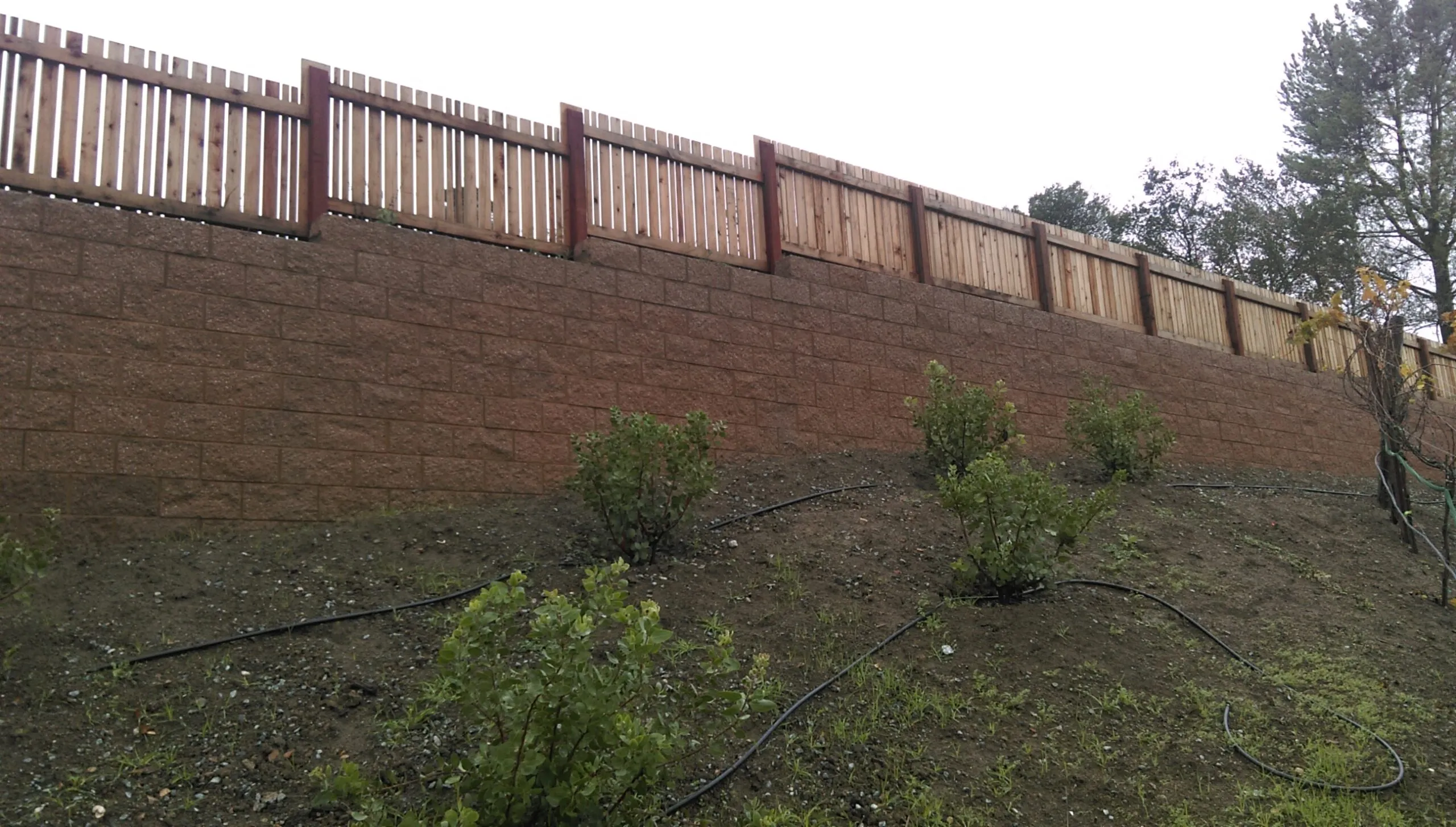 Picture of A well-constructed retaining wall and wooden fence, showcasing AcuStruct's dedication to quality outcomes. This structure represents their high customer satisfaction ratings in landscaping solutions. Copyright ©2025 Diamond Certified Resource

 - AcuStruct