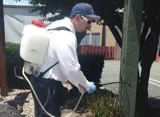  Man in white shirt and cap sprays pesticide from a backpack sprayer onto a structure outdoors.