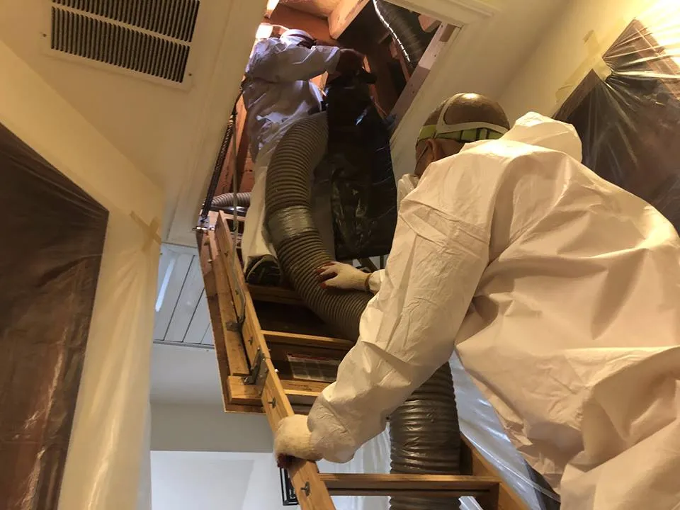 Picture of In the quiet focus of the attic, Attic Pros showcases its meticulous approach to insulation installation. Known for high customer satisfaction ratings, their expertise is evident. Copyright ©2025 Diamond Certified Resource

 - Attic Pros