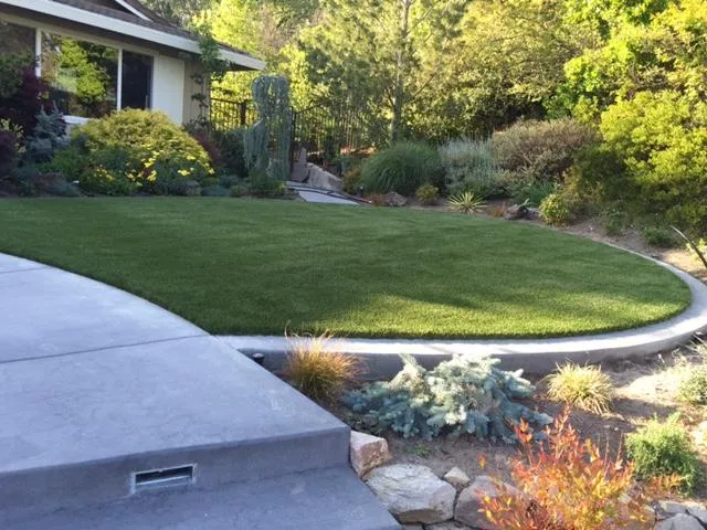 Picture of  A pristine lawn bordered by vibrant greenery showcases Bay Area Drainage, Inc.'s commitment to high-quality landscaping solutions, creating peaceful spaces for clients to enjoy. Consistently achieving a Highest in Quality rating, their expertise transforms outdoor environments. Copyright ©2025 Diamond Certified Resource.

 - Bay Area Drainage, Inc.