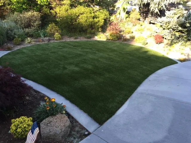 Picture of A pristine patch of lush green lawn stands gracefully bordered by a smooth concrete path, showcasing the meticulous care Bay Area Drainage, Inc. puts into quality landscaping. Recognized for expertise and quality, they're committed to enhancing outdoor spaces. Copyright ©2025 Diamond Certified Resource. - Bay Area Drainage, Inc.