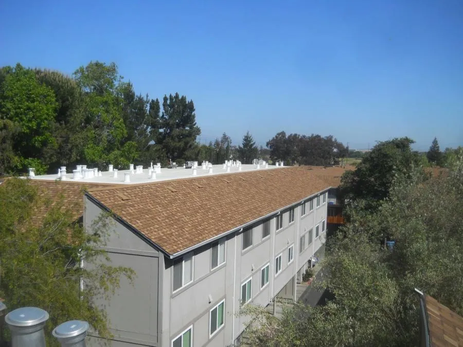 Picture of  A row of neatly installed vents punctuates the new roofing work by Ben's Roofing, Inc. on this expansive residential complex, showcasing their consistent achievement of a Highest in Quality rating. Copyright ©2025 Diamond Certified Resource.

 - Ben's Roofing, Inc.