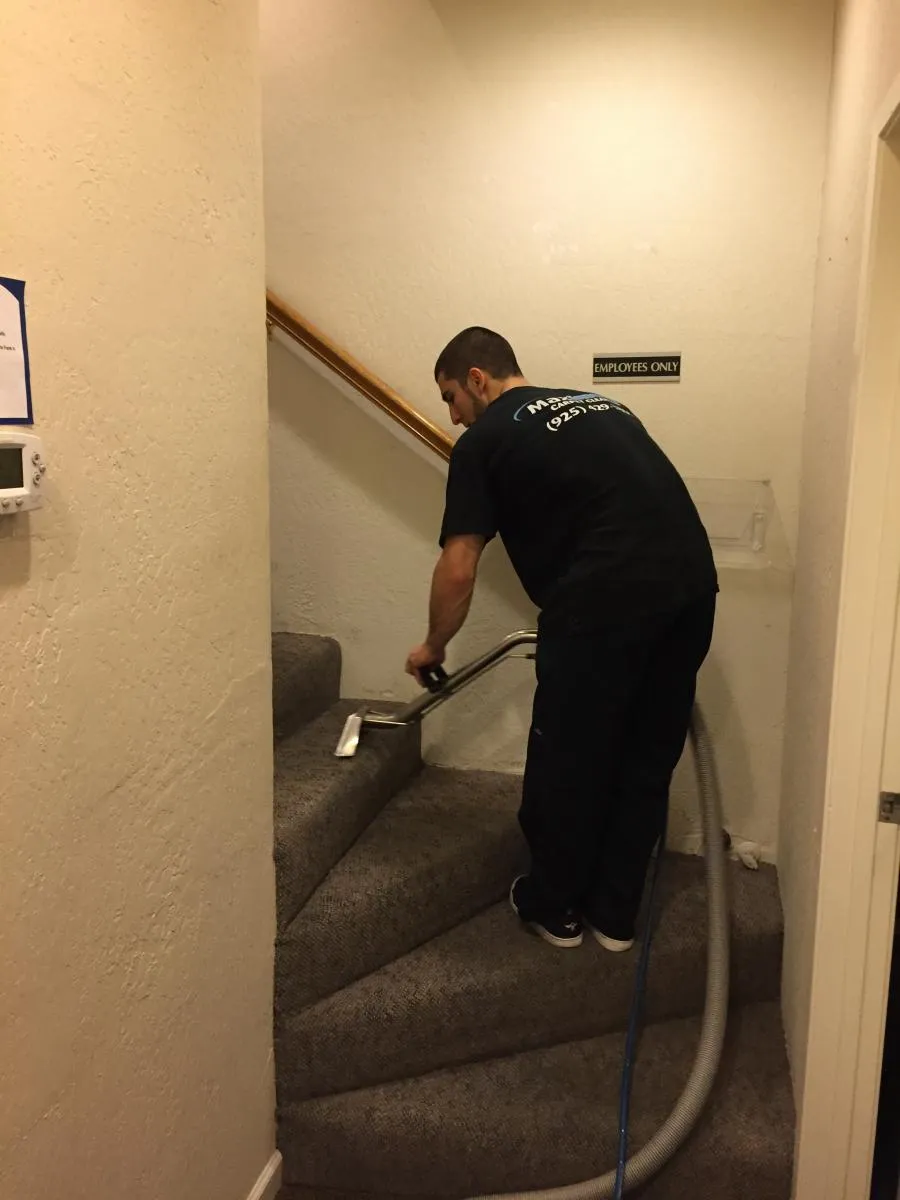 Picture of A technician from Maximum Carpet Cleaning meticulously cleans carpeted stairs in a commercial setting, showcasing their commitment to quality outcomes. Recognized for expertise and quality, the company ensures high customer satisfaction. Copyright ©2025 Diamond Certified Resource - Maximum Carpet Cleaning